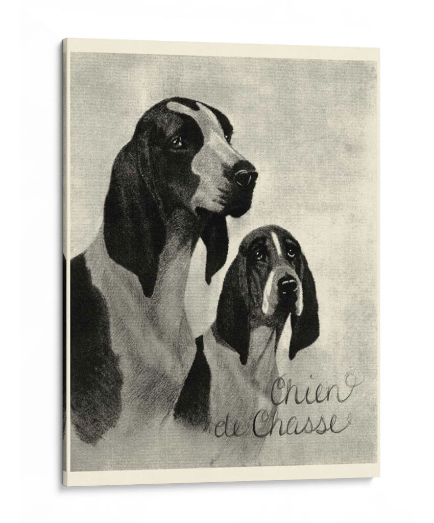 B Y W Chien De Chasse - Vision Studio | Cuadro decorativo de Canvas Lab