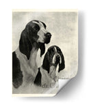 B Y W Chien De Chasse - Vision Studio | Cuadro decorativo de Canvas Lab