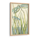 Libélulas De Gossamer I - Chariklia Zarris | Cuadro decorativo de Canvas Lab