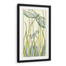 Gossamer Dragonflies Ii - Chariklia Zarris | Cuadro decorativo de Canvas Lab