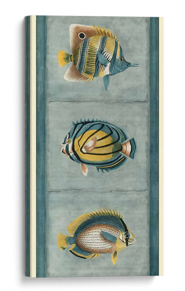 Trío Tropical - Vision Studio | Cuadro decorativo de Canvas Lab