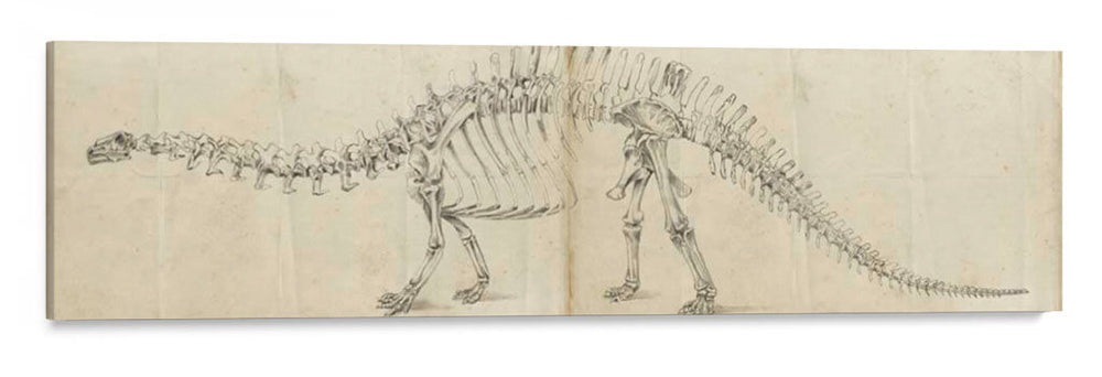 Estudio Dinosaurio I - Ethan Harper | Cuadro decorativo de Canvas Lab