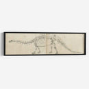 Estudio Dinosaurio I - Ethan Harper | Cuadro decorativo de Canvas Lab