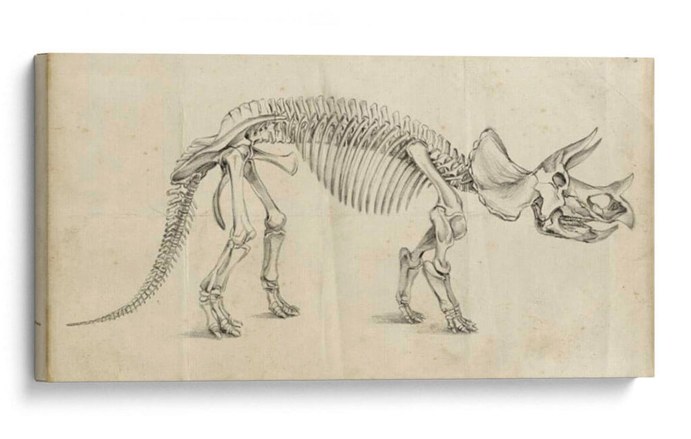 Estudio De Dinosaurios Ii - Ethan Harper | Cuadro decorativo de Canvas Lab