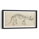 Estudio De Dinosaurios Ii - Ethan Harper | Cuadro decorativo de Canvas Lab