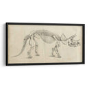 Estudio De Dinosaurios Ii - Ethan Harper | Cuadro decorativo de Canvas Lab