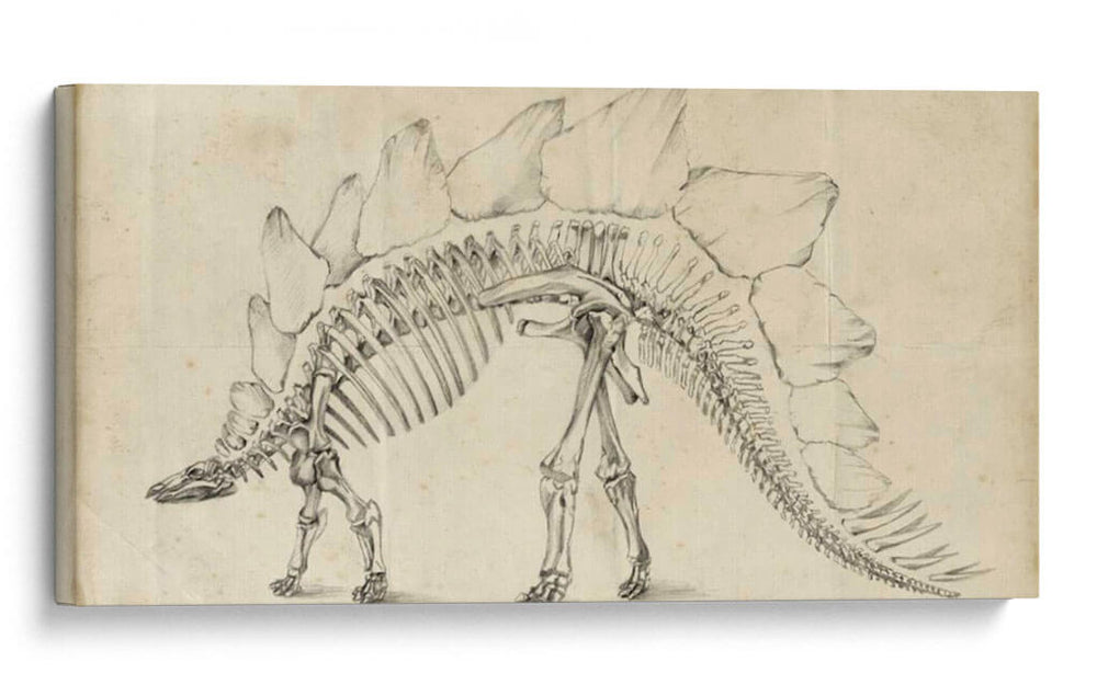 Estudio De Dinosaurios Iii - Ethan Harper | Cuadro decorativo de Canvas Lab