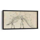 Estudio De Dinosaurios Iii - Ethan Harper | Cuadro decorativo de Canvas Lab