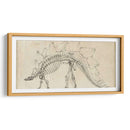 Estudio De Dinosaurios Iii - Ethan Harper | Cuadro decorativo de Canvas Lab