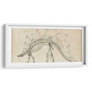 Estudio De Dinosaurios Iii - Ethan Harper | Cuadro decorativo de Canvas Lab