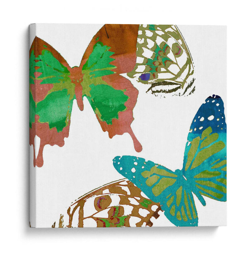 Mariposas Dispersas I - Sisa Jasper | Cuadro decorativo de Canvas Lab
