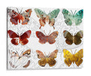 Mariposas En Capas Ii - Sisa Jasper | Cuadro decorativo de Canvas Lab