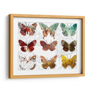 Mariposas En Capas Ii - Sisa Jasper | Cuadro decorativo de Canvas Lab