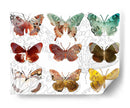 Mariposas En Capas Ii - Sisa Jasper | Cuadro decorativo de Canvas Lab