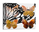 Mariposas En Capas Iii - Sisa Jasper | Cuadro decorativo de Canvas Lab