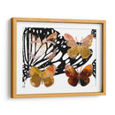 Mariposas En Capas Iii - Sisa Jasper | Cuadro decorativo de Canvas Lab