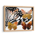 Mariposas En Capas Iii - Sisa Jasper | Cuadro decorativo de Canvas Lab