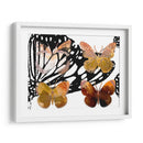 Mariposas En Capas Iii - Sisa Jasper | Cuadro decorativo de Canvas Lab