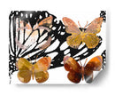 Mariposas En Capas Iii - Sisa Jasper | Cuadro decorativo de Canvas Lab