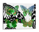 Mariposas En Capas V - Sisa Jasper | Cuadro decorativo de Canvas Lab