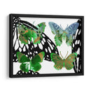 Mariposas En Capas V - Sisa Jasper | Cuadro decorativo de Canvas Lab