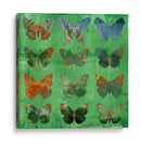 Mariposas En Verde - Sisa Jasper | Cuadro decorativo de Canvas Lab