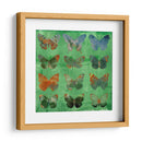 Mariposas En Verde - Sisa Jasper | Cuadro decorativo de Canvas Lab