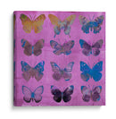 Mariposas En Magenta - Sisa Jasper | Cuadro decorativo de Canvas Lab