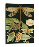 Libélula Caprichosa En Negro I - Vision Studio | Cuadro decorativo de Canvas Lab