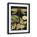 Libélula Caprichosa En Negro I - Vision Studio | Cuadro decorativo de Canvas Lab