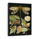 Libélula Caprichosa En Negro I - Vision Studio | Cuadro decorativo de Canvas Lab