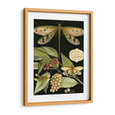 Libélula Caprichosa En Negro I - Vision Studio | Cuadro decorativo de Canvas Lab