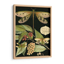 Libélula Caprichosa En Negro I - Vision Studio | Cuadro decorativo de Canvas Lab