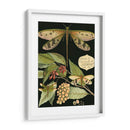 Libélula Caprichosa En Negro I - Vision Studio | Cuadro decorativo de Canvas Lab