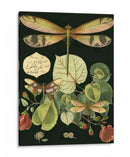 Libélula Caprichosa En Negro Ii - Vision Studio | Cuadro decorativo de Canvas Lab