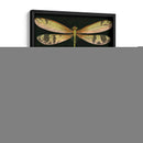 Libélula Caprichosa En Negro Ii - Vision Studio | Cuadro decorativo de Canvas Lab