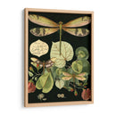 Libélula Caprichosa En Negro Ii - Vision Studio | Cuadro decorativo de Canvas Lab