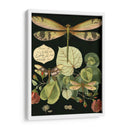 Libélula Caprichosa En Negro Ii - Vision Studio | Cuadro decorativo de Canvas Lab