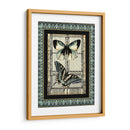 Pequeña Mariposa Fantasía I - Vision Studio | Cuadro decorativo de Canvas Lab