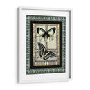 Pequeña Mariposa Fantasía I - Vision Studio | Cuadro decorativo de Canvas Lab