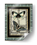 Pequeña Mariposa Fantasía I - Vision Studio | Cuadro decorativo de Canvas Lab