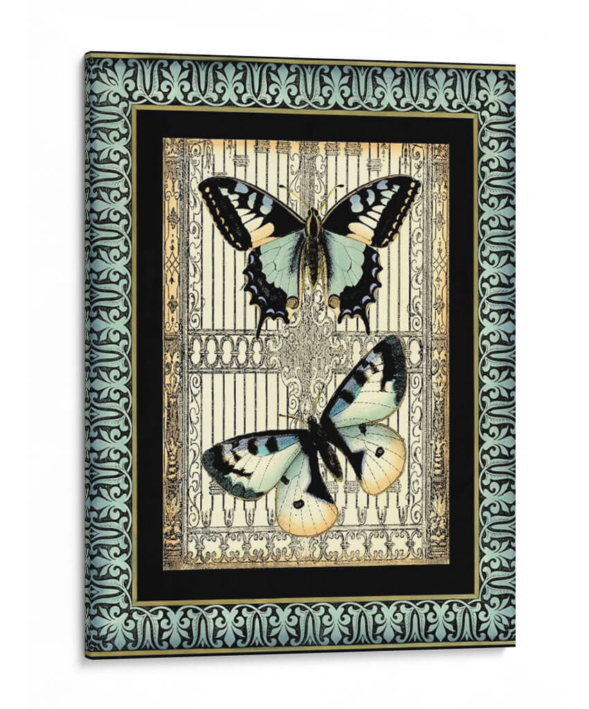 Pequeña Mariposa Fancy Ii - Vision Studio | Cuadro decorativo de Canvas Lab