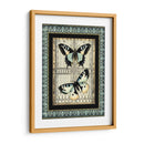 Pequeña Mariposa Fancy Ii - Vision Studio | Cuadro decorativo de Canvas Lab