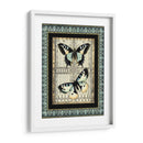 Pequeña Mariposa Fancy Ii - Vision Studio | Cuadro decorativo de Canvas Lab