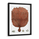 Coral Rojo Ii - Vision Studio | Cuadro decorativo de Canvas Lab