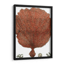 Coral Rojo Ii - Vision Studio | Cuadro decorativo de Canvas Lab