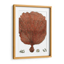 Coral Rojo Ii - Vision Studio | Cuadro decorativo de Canvas Lab