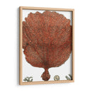 Coral Rojo Ii - Vision Studio | Cuadro decorativo de Canvas Lab