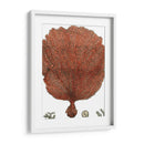 Coral Rojo Ii - Vision Studio | Cuadro decorativo de Canvas Lab