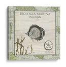 Biologia Marina I - Vision Studio | Cuadro decorativo de Canvas Lab
